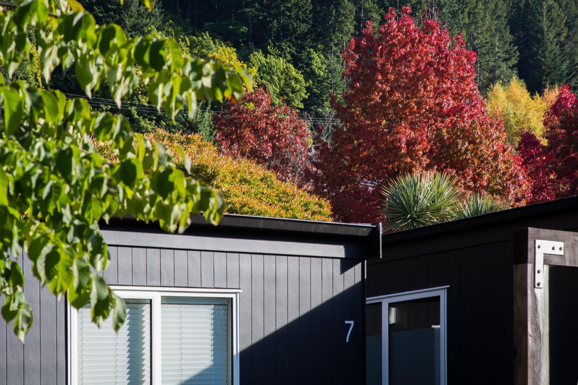 Pinewood Houses And Apartments Queenstown Buitenkant foto